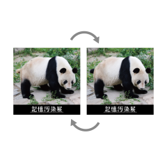レンチキュラーシール（パンダ）