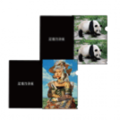 クリアファイル ２枚セット