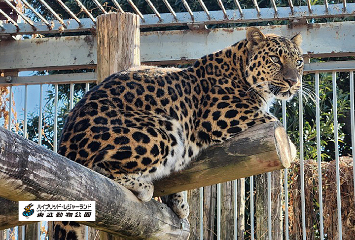 東武動物公園（埼玉）