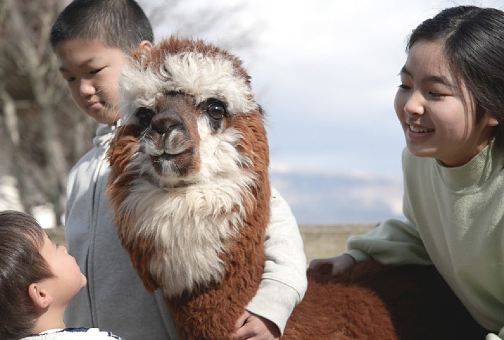 阿蘇カドリー・ドミニオン（熊本）