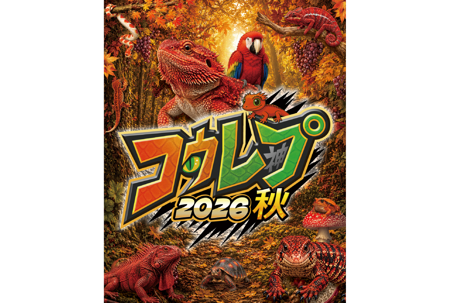 コウレプ2026秋