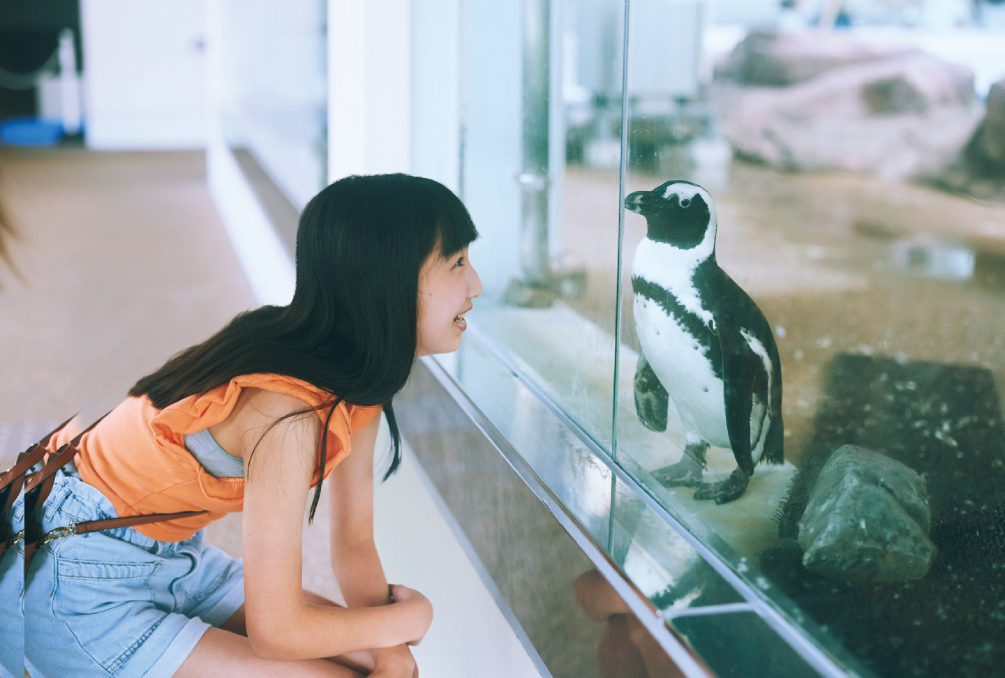 京都水族館（京都）
