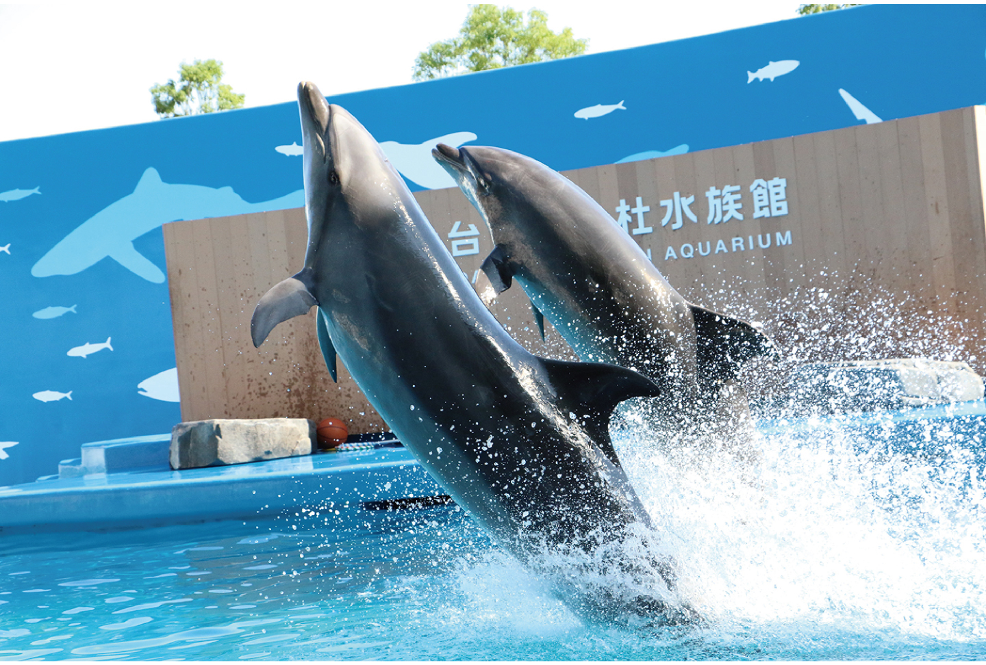 仙台うみの杜水族館（宮城）｜7ぴあ Web magazine (7ぴあ Web magazine)