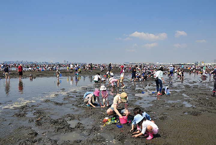 ふなばし三番瀬海浜公園（千葉）