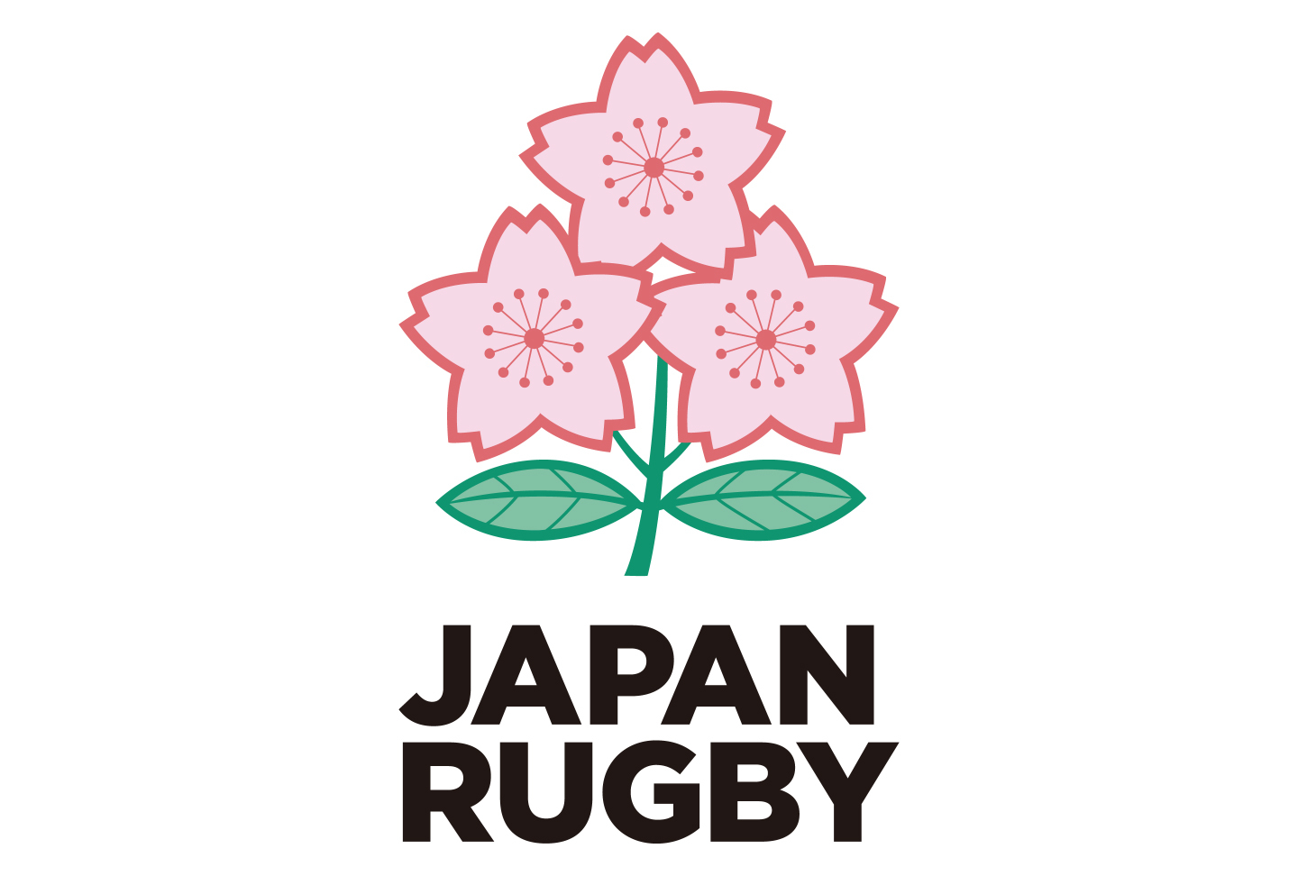 ラグビー 日本代表戦
