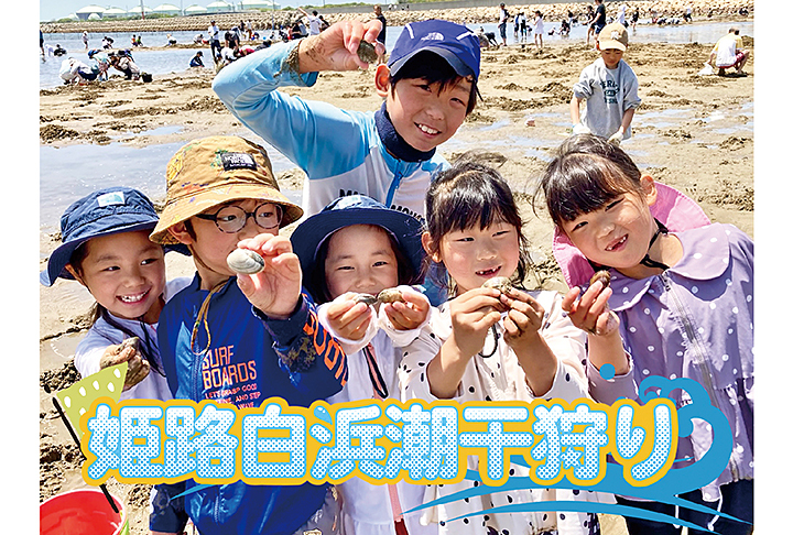 姫路白浜潮干狩り場（兵庫）